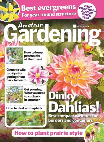 Amateur Gardening – 18 July 2020 Cover