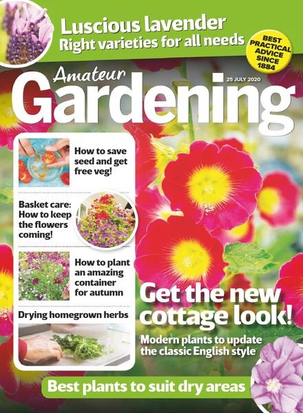 Amateur Gardening – 25 July 2020 Cover