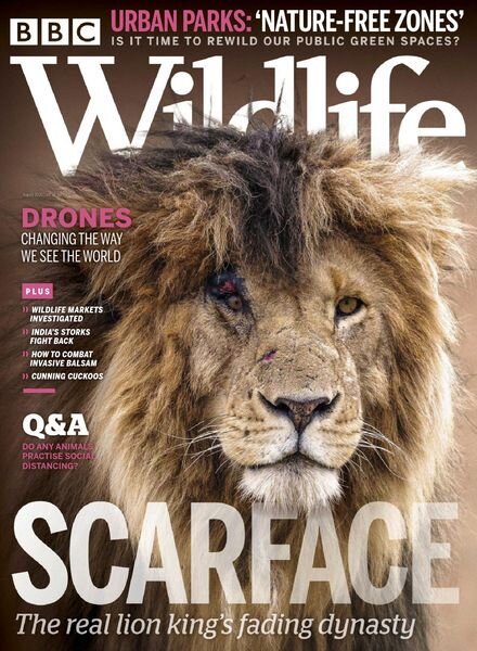 BBC Wildlife – August 2020 Cover
