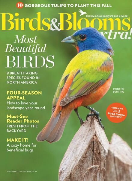 Birds and Blooms Extra – September 2020 Cover
