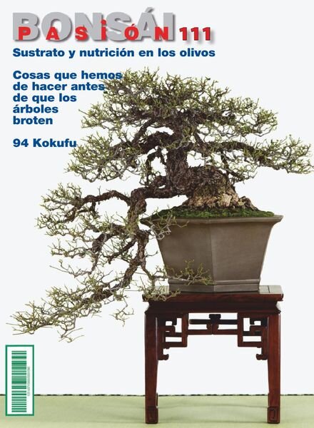 Bonsai Pasion – agosto 2020 Cover