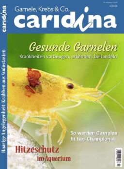 Caridina – Nr.3 2020
