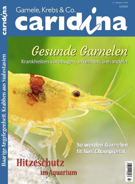 Caridina – Nr.3 2020 Cover