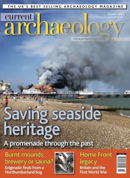 Current Archaeology – Issue 295 Cover