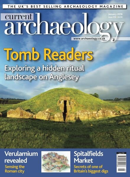 Current Archaeology – Issue 310 Cover