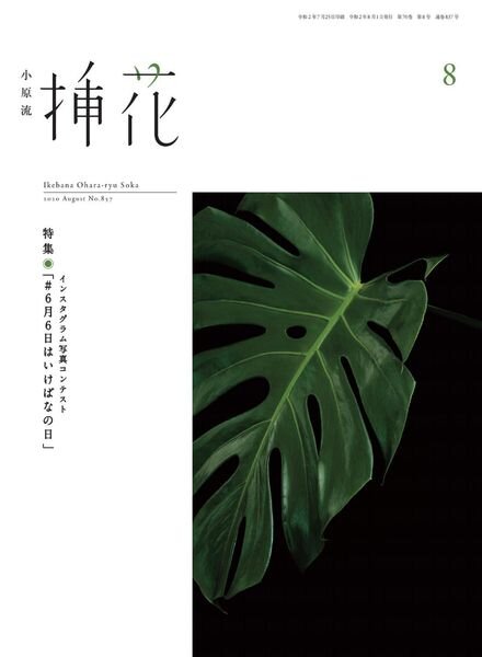 eBooks – 2020-08-01 Cover