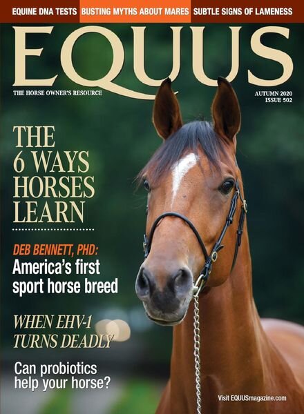Equus – August 2020 Cover