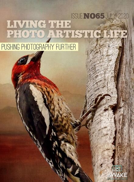 Living The Photo Artistic Life – July 2020 Cover