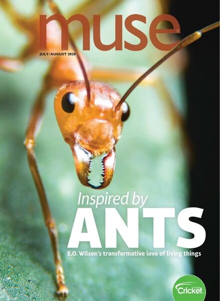 Muse – July 2020 Cover