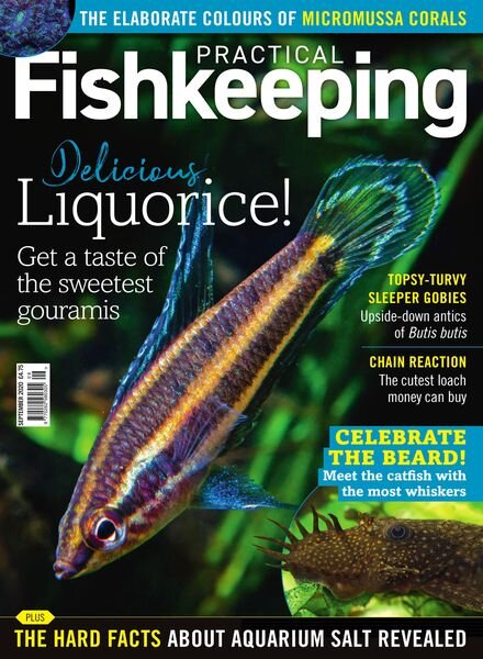 Practical Fishkeeping – September 2020 Cover