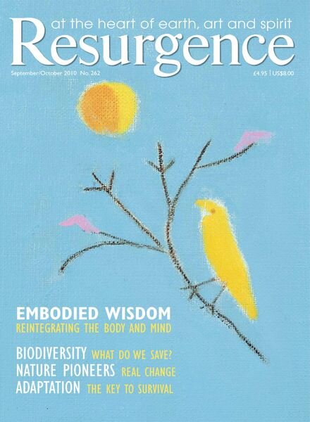 Resurgence & Ecologist – Resurgence, 262 – Sep-Oct 2010 Cover