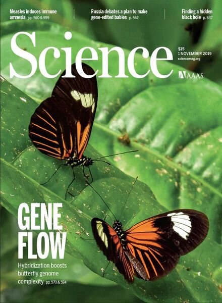 Science – 1 November 2019 Cover