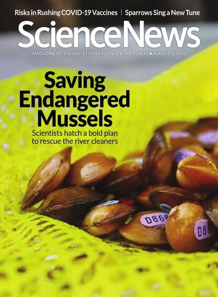 Science News – 1 August 2020 Cover
