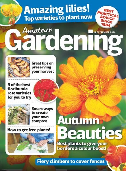 Amateur Gardening – 12 September 2020 Cover