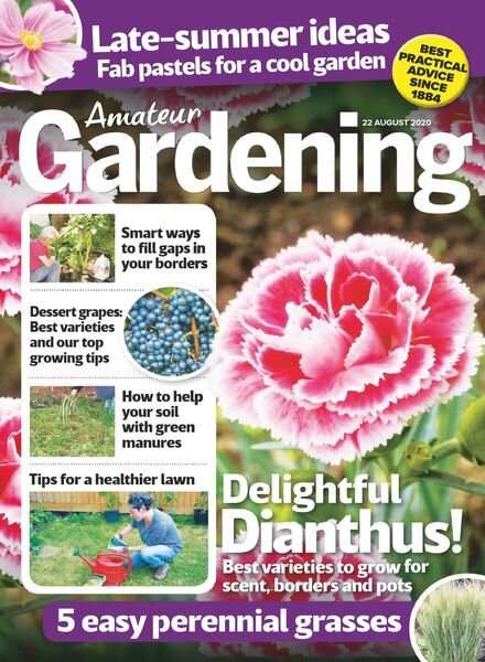 Amateur Gardening – 22 August 2020 Cover