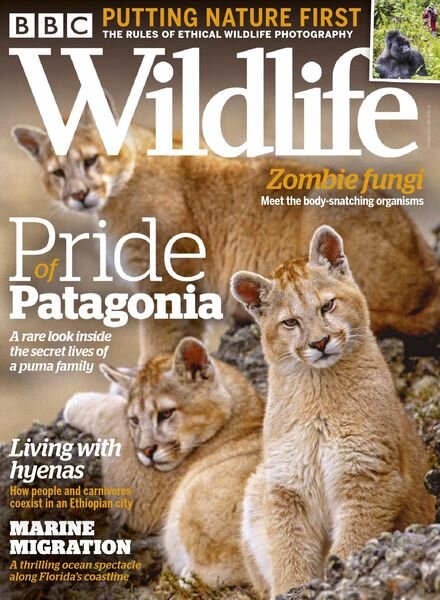 BBC Wildlife – October 2020 Cover