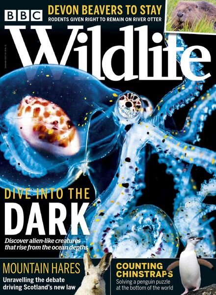 BBC Wildlife – September 2020 Cover