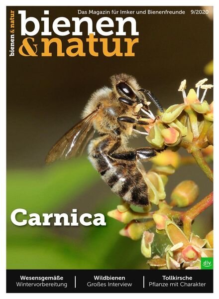Bienen&Natur – August 2020 Cover
