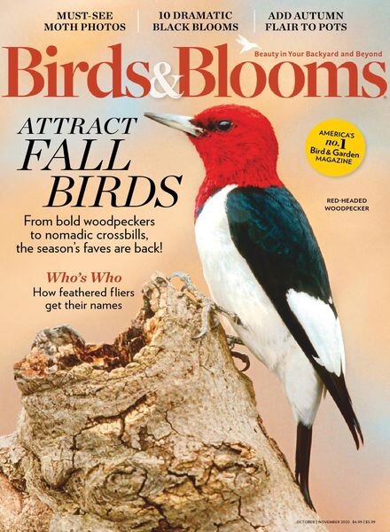 Birds & Blooms – October-November 2020 Cover