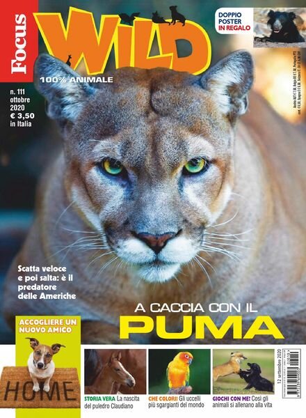 Focus Wild – ottobre 2020 Cover