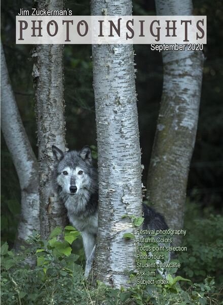 Photo Insights – September 2020 Cover