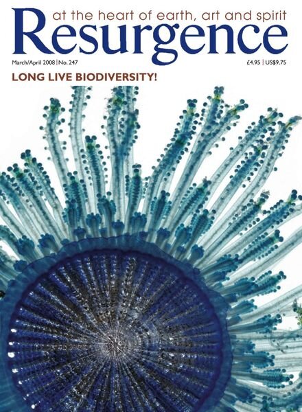 Resurgence & Ecologist – Resurgence, 247 – March-April 2008 Cover