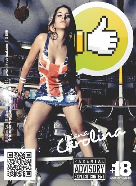 Revista Like – N 15 Cover