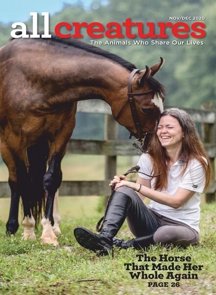 All Creatures – November 2020 Cover