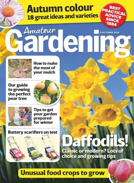 Amateur Gardening – 03 October 2020 Cover