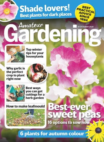 Amateur Gardening – 10 October 2020 Cover