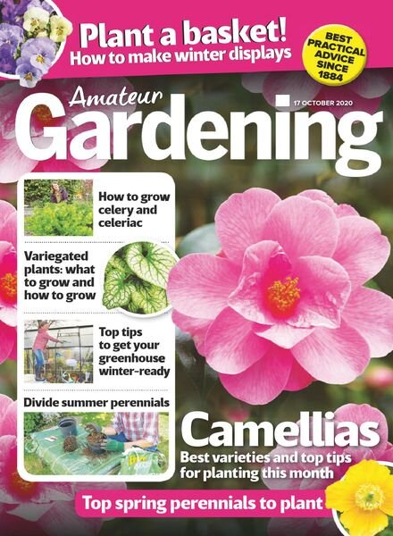 Amateur Gardening – 17 October 2020 Cover