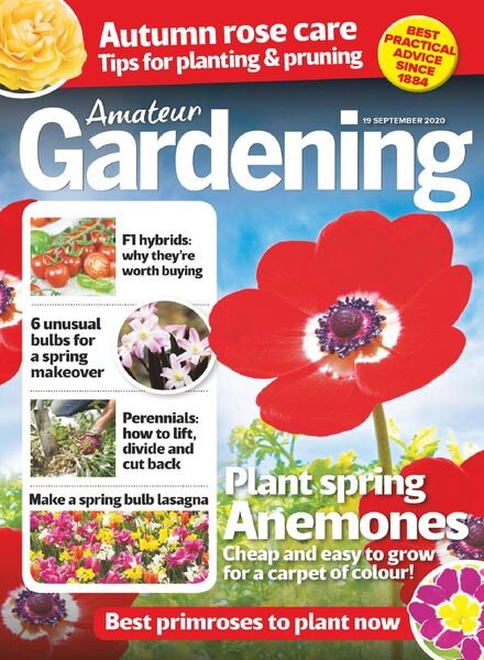 Amateur Gardening – 19 September 2020 Cover