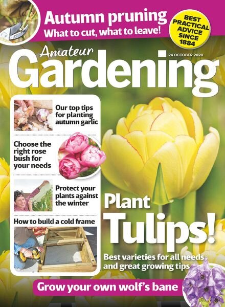 Amateur Gardening – 24 October 2020 Cover