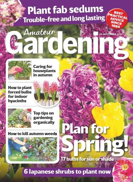 Amateur Gardening – 26 September 2020 Cover