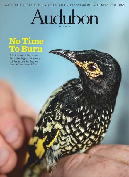 Audubon Magazine – September 2020 Cover