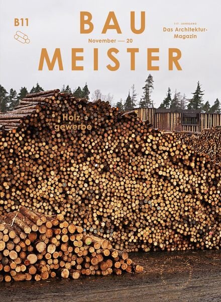 Baumeister – November 2020 Cover