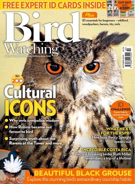 Bird Watching UK – October 2020 Cover