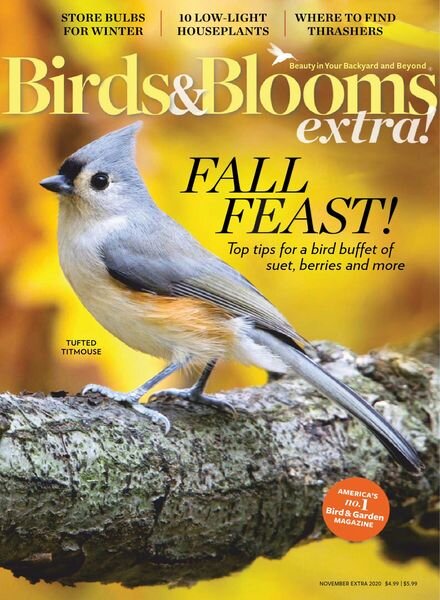 Birds and Blooms Extra – November 2020 Cover