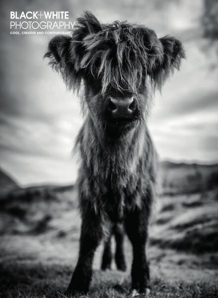 Black + White Photography – Autumn 2020 Cover