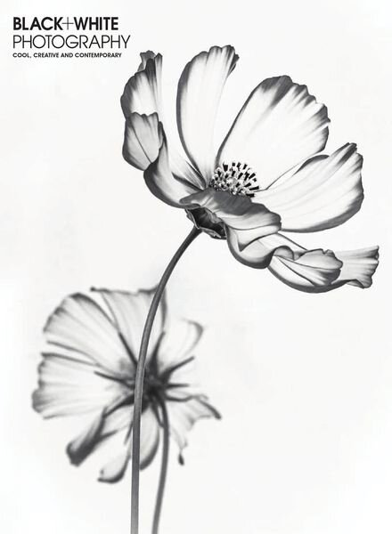Black + White Photography – July 2020 Cover