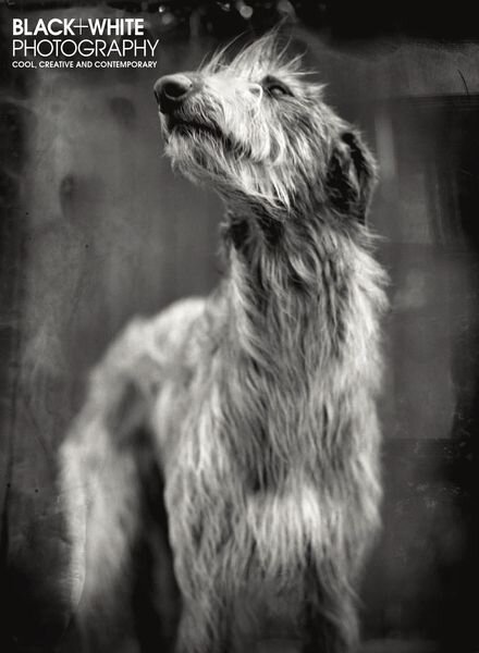 Black + White Photography – May 2020 Cover