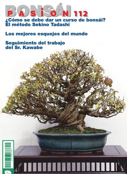 Bonsai Pasion – octubre 2020 Cover