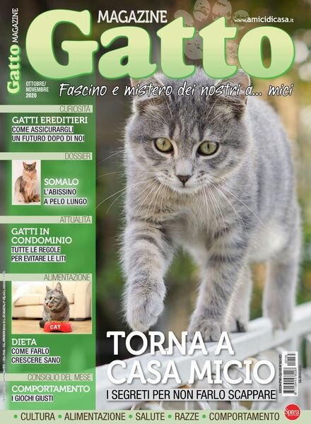 Gatto Magazine – Ottobre-Novembre 2020 Cover