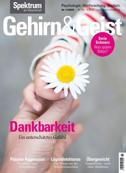 Gehirn & Geist – November 2020 Cover