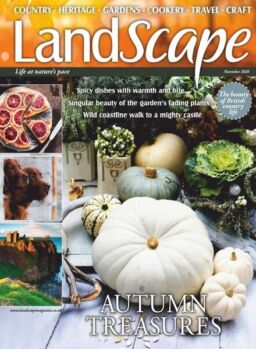 Landscape UK – November 2020