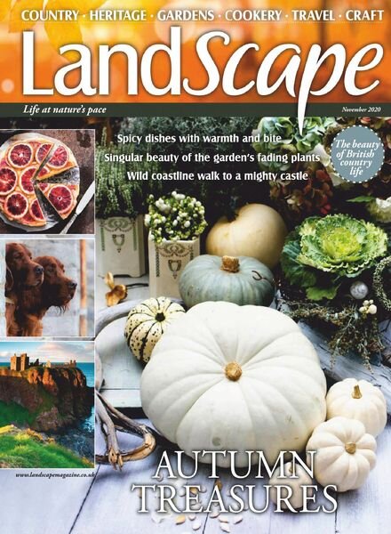 Landscape UK – November 2020 Cover