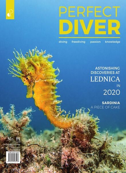 Perfect Diver – September-October 2020 Cover