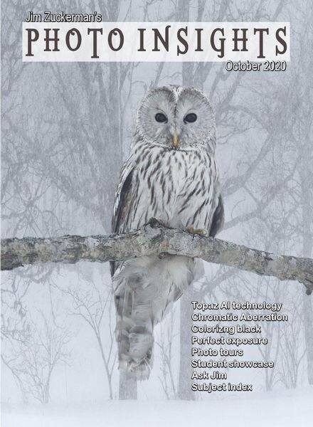 Photo Insights – October 2020 Cover