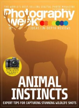 Photography Week – 08 October 2020