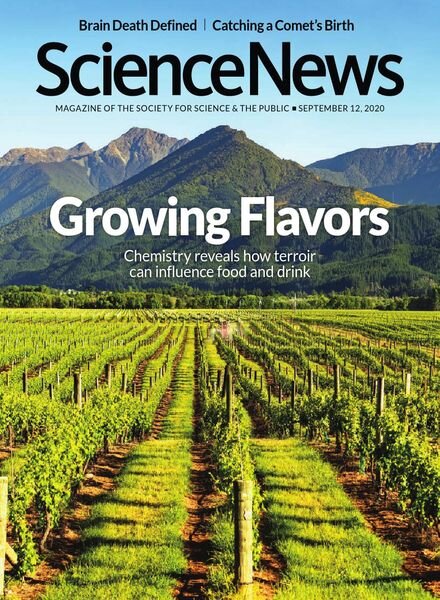 Science News – 12 September 2020 Cover